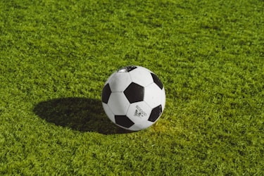 体育赛事精彩回放集锦画面
